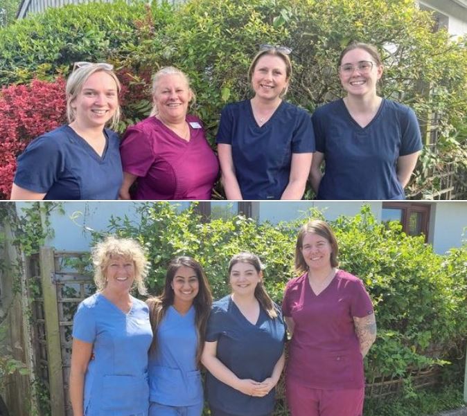 Nurses Team