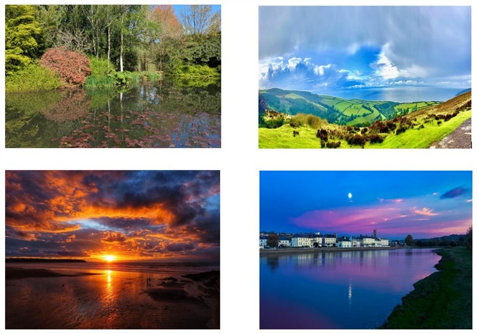 Photo comp winners