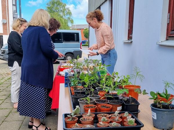 Cake and plant sale